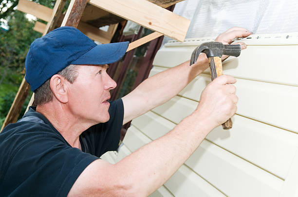 Best Residential Vinyl Siding Installation  in Dland, MI