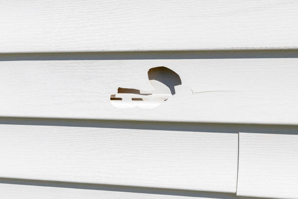 Affordable siding repair and maintenance services in Midland, MI