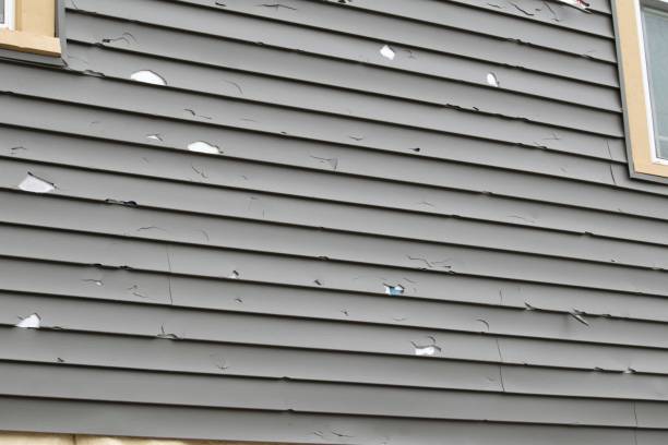 Best Custom Siding Design  in Dland, MI