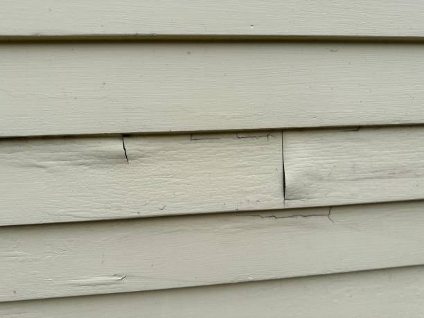 Best Engineered Wood Siding  in Dland, MI